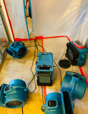 Water Restoration Services in Mesa, AZ (2)