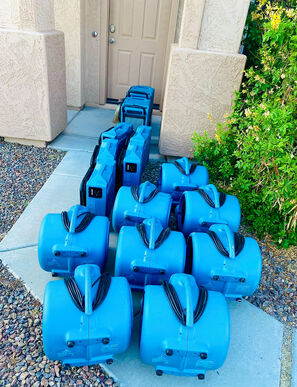 Water Restoration Services in Mesa, AZ (3)